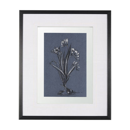 Mercana - Botanical sketches III Blue by Mercana Studio Hand Embellished Framed Art Print Matted under Glass - 14571 view 1