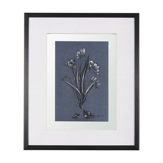 Mercana - Botanical sketches III Blue by Mercana Studio Hand Embellished Framed Art Print Matted under Glass - 14571 view 1