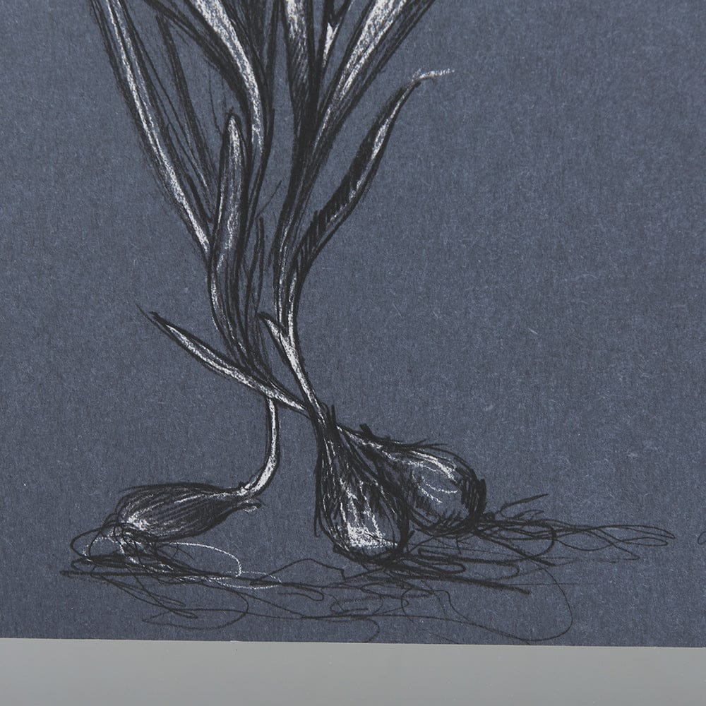Mercana - Botanical sketches III Blue by Mercana Studio Hand Embellished Framed Art Print Matted under Glass - 14571 view 6