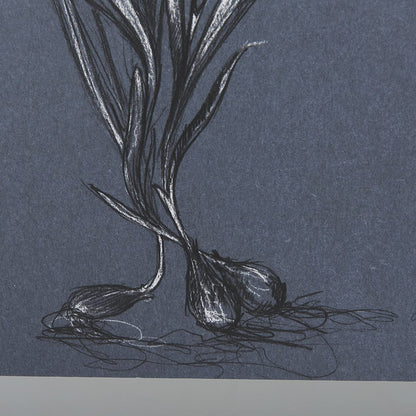 Mercana - Botanical sketches III Blue by Mercana Studio Hand Embellished Framed Art Print Matted under Glass - 14571 view 6