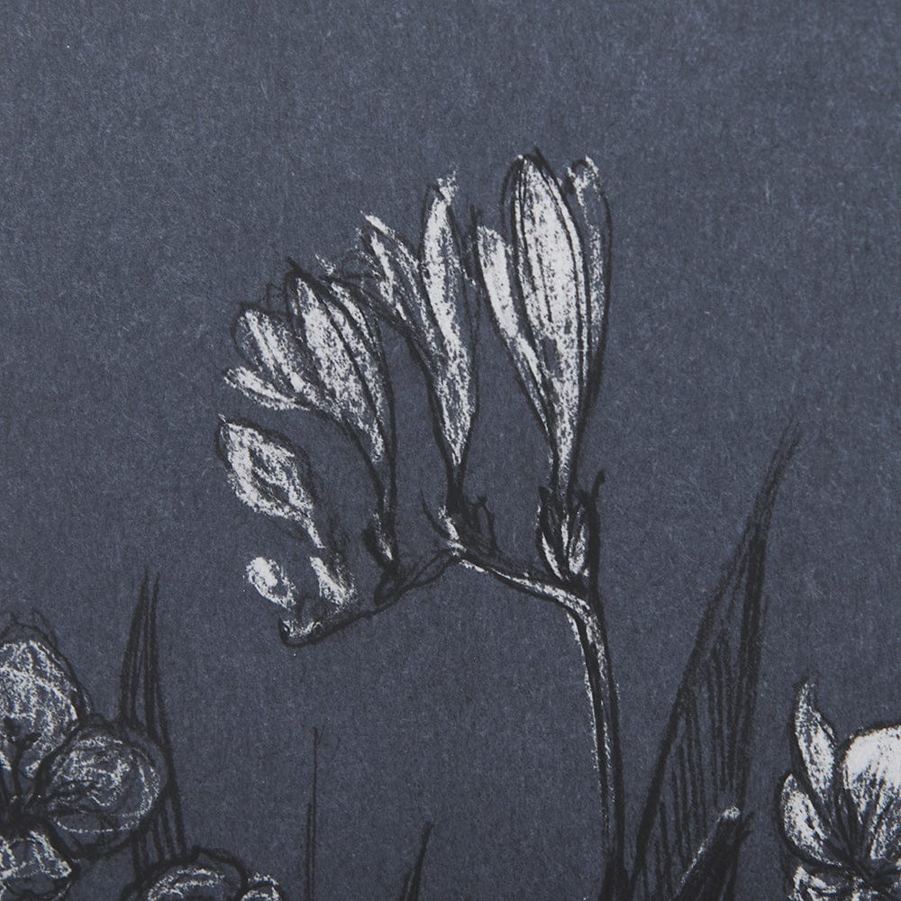 Mercana - Botanical sketches III Blue by Mercana Studio Hand Embellished Framed Art Print Matted under Glass - 14571 view 7