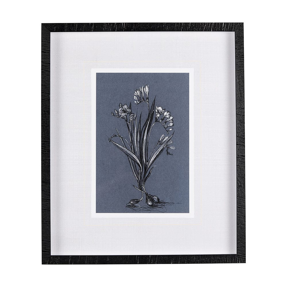 Mercana - Botanical sketches III Blue by Mercana Studio Hand Embellished Framed Art Print Matted under Glass - 14577 view 1