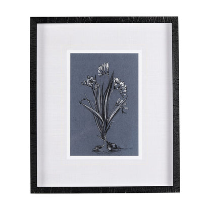 Mercana - Botanical sketches III Blue by Mercana Studio Hand Embellished Framed Art Print Matted under Glass - 14577 view 1