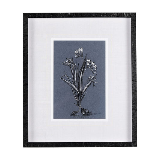 Mercana - Botanical sketches III Blue by Mercana Studio Hand Embellished Framed Art Print Matted under Glass - 14577 view 1
