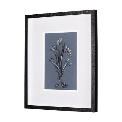 Mercana - Botanical sketches III Blue by Mercana Studio Hand Embellished Framed Art Print Matted under Glass - 14577 view 2