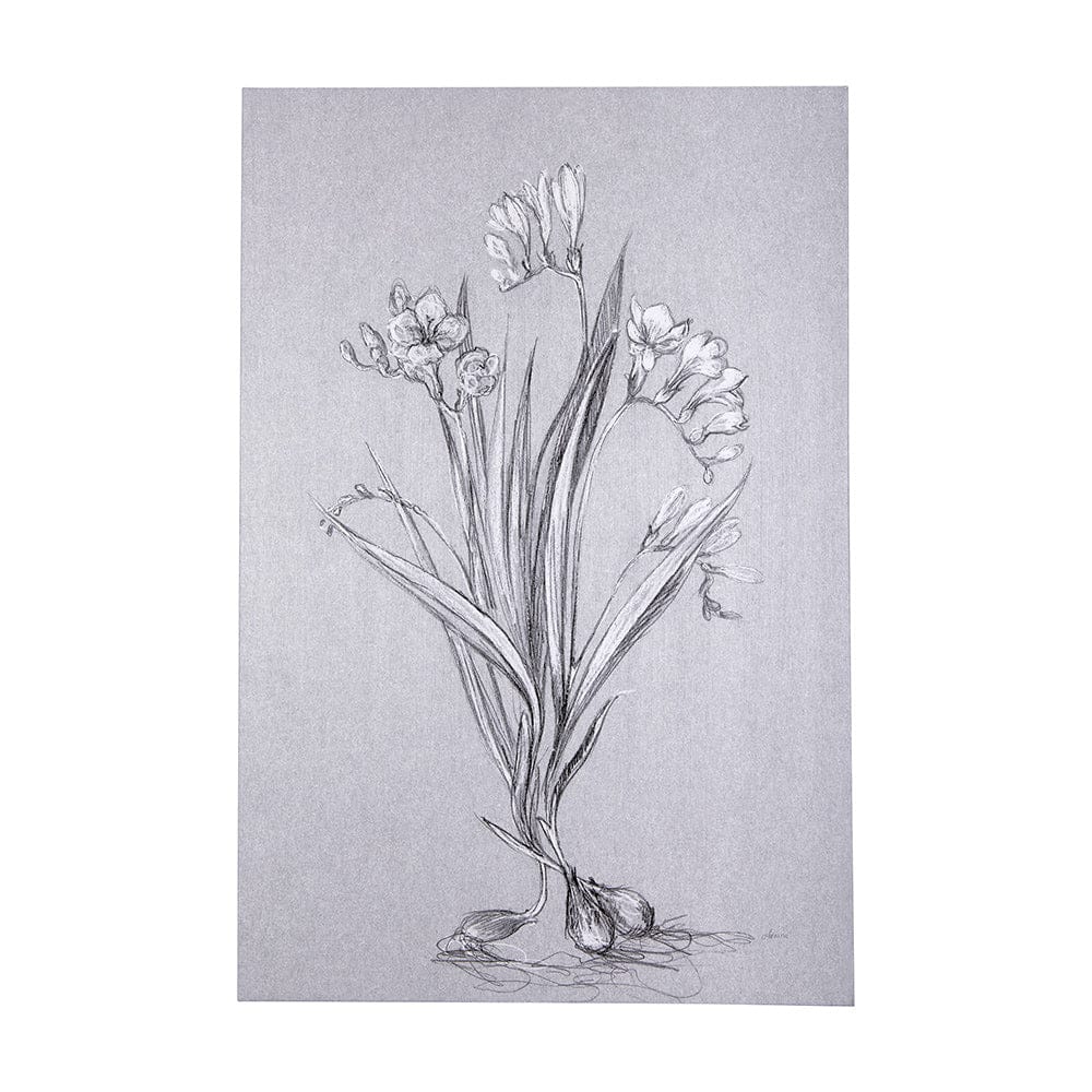Mercana - Botanical sketches III Grey by Mercana Studio a Hand Embellished Textured Canvas - 102373-L view 1
