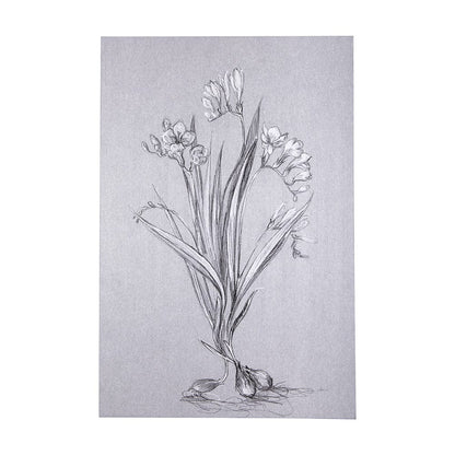 Mercana - Botanical sketches III Grey by Mercana Studio a Hand Embellished Textured Canvas - 102373-L view 1