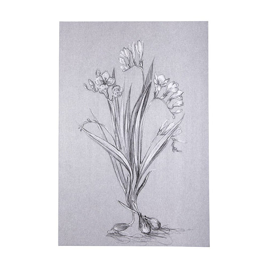 Mercana - Botanical sketches III Grey by Mercana Studio a Hand Embellished Textured Canvas - 102373-L view 1