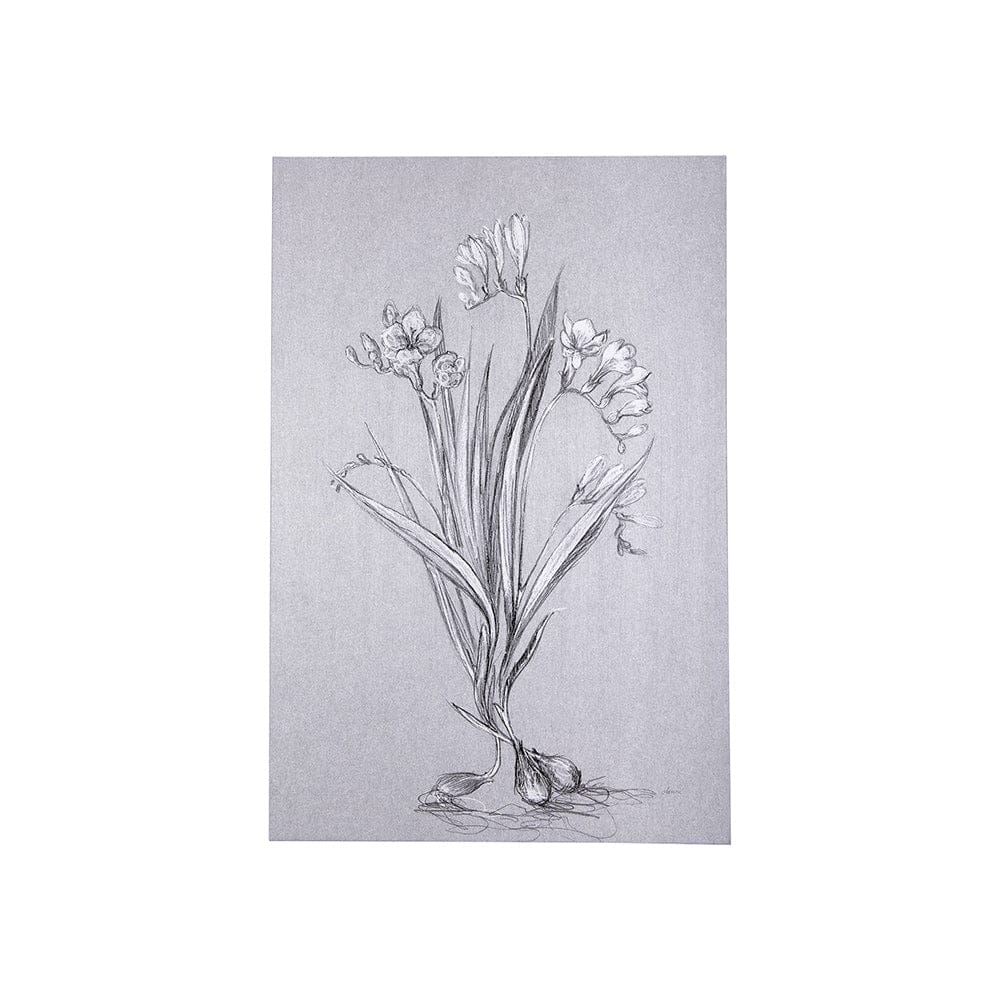 Mercana - Botanical sketches III Grey by Mercana Studio a Hand Embellished Textured Canvas - 102373-S view 1