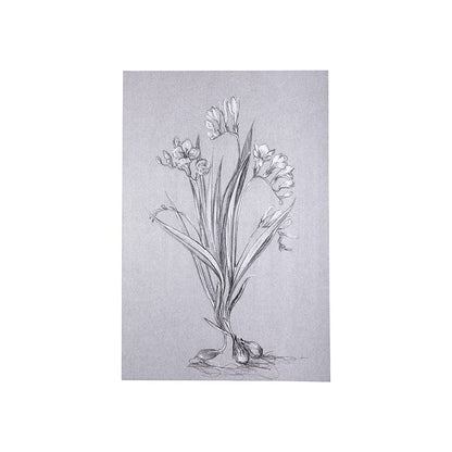Mercana - Botanical sketches III Grey by Mercana Studio a Hand Embellished Textured Canvas - 102373-S view 1