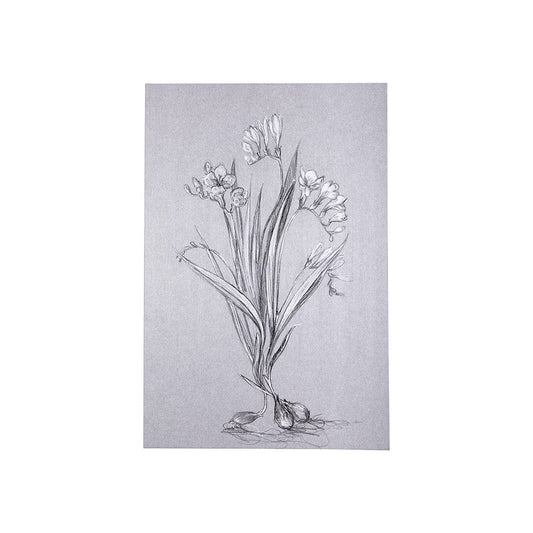 Mercana - Botanical sketches III Grey by Mercana Studio a Hand Embellished Textured Canvas - 102373-S view 1