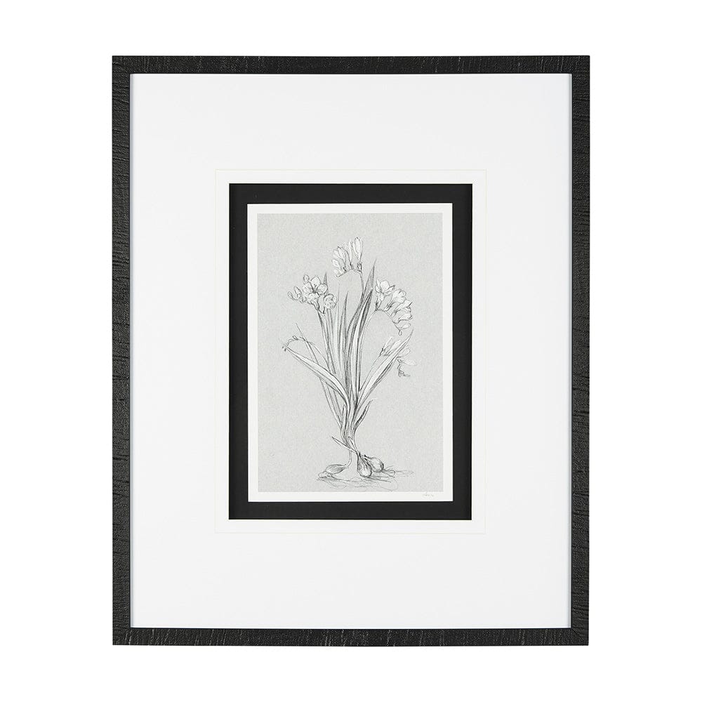 Mercana - Botanical sketches III Grey by Mercana Studio Hand Embellished Framed Art Print Matted under Glass - 14536 view 1