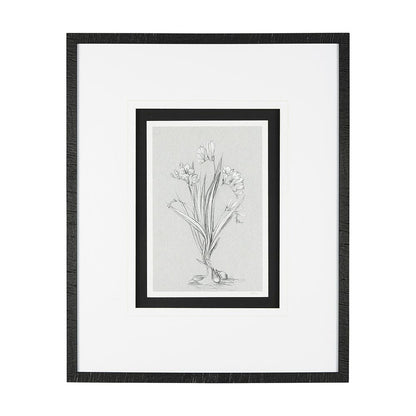 Mercana - Botanical sketches III Grey by Mercana Studio Hand Embellished Framed Art Print Matted under Glass - 14536 view 1