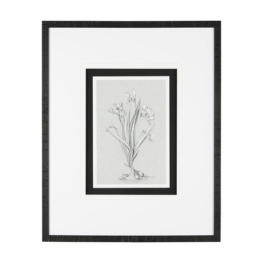 Mercana - Botanical sketches III Grey by Mercana Studio Hand Embellished Framed Art Print Matted under Glass - 14536 view 1