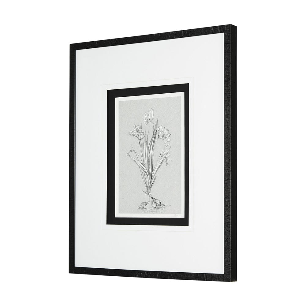 Mercana - Botanical sketches III Grey by Mercana Studio Hand Embellished Framed Art Print Matted under Glass - 14536 view 2