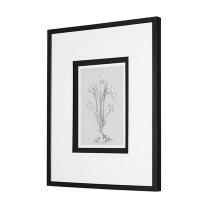 Mercana - Botanical sketches III Grey by Mercana Studio Hand Embellished Framed Art Print Matted under Glass - 14536 view 2
