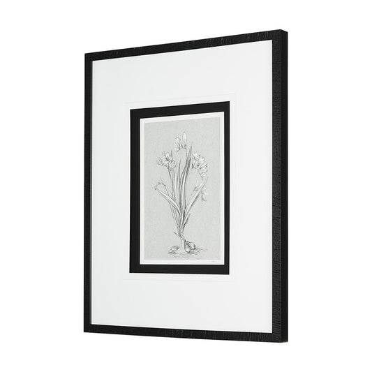 Mercana - Botanical sketches III Grey by Mercana Studio Hand Embellished Framed Art Print Matted under Glass - 14536 view 2