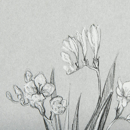 Mercana - Botanical sketches III Grey by Mercana Studio Hand Embellished Framed Art Print Matted under Glass - 14536 view 7