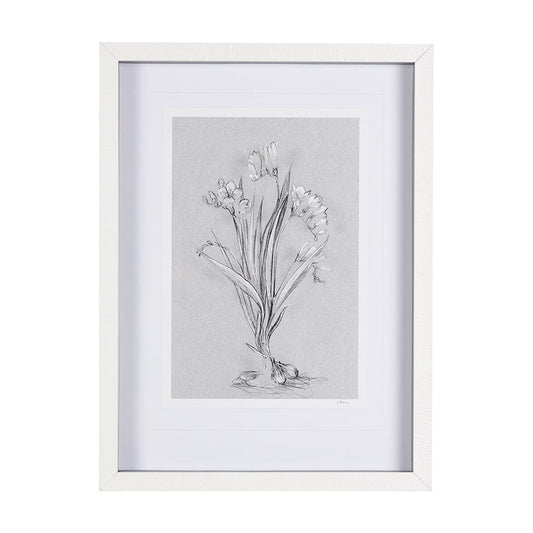 Mercana - Botanical sketches III Grey by Mercana Studio Hand Embellished Framed Art Print Matted under Glass - 14588 view 1
