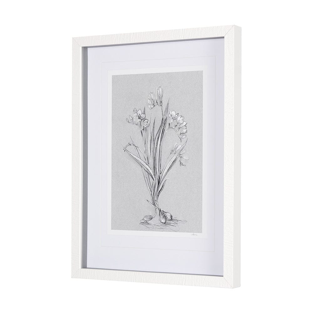 Mercana - Botanical sketches III Grey by Mercana Studio Hand Embellished Framed Art Print Matted under Glass - 14588 view 2