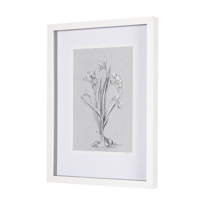 Mercana - Botanical sketches III Grey by Mercana Studio Hand Embellished Framed Art Print Matted under Glass - 14588 view 2