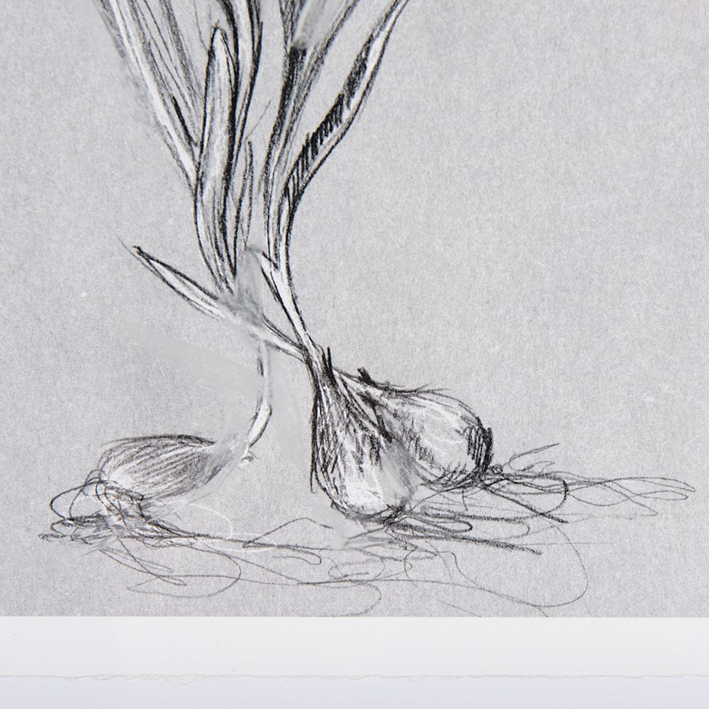 Mercana - Botanical sketches III Grey by Mercana Studio Hand Embellished Framed Art Print Matted under Glass - 14588 view 6