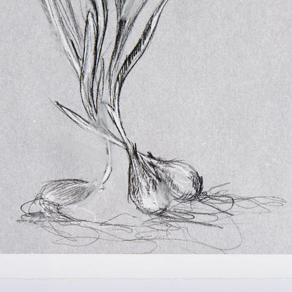 Mercana - Botanical sketches III Grey by Mercana Studio Hand Embellished Framed Art Print Matted under Glass - 14588 view 6