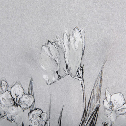 Mercana - Botanical sketches III Grey by Mercana Studio Hand Embellished Framed Art Print Matted under Glass - 14588 view 7