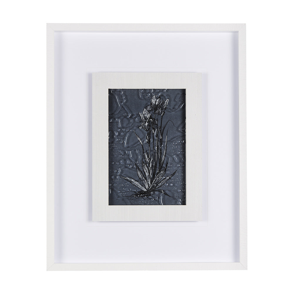 Mercana - Botanical sketches IV Blue by Mercana Studio Hand Embellished Framed Art Print Matted under Glass - 14568 view 1