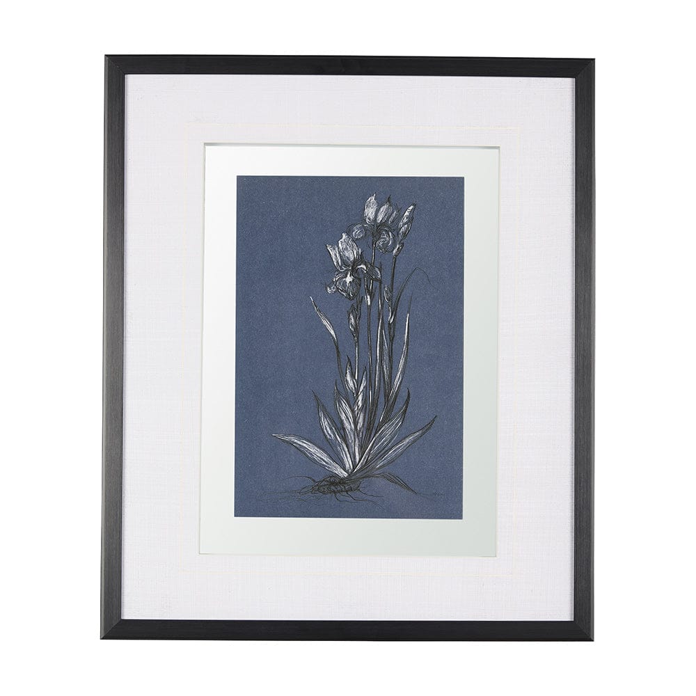 Mercana - Botanical sketches IV Blue by Mercana Studio Hand Embellished Framed Art Print Matted under Glass - 14572 view 1