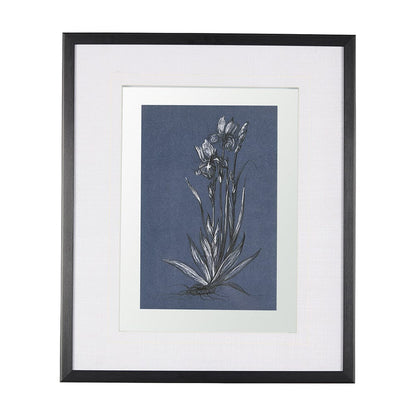 Mercana - Botanical sketches IV Blue by Mercana Studio Hand Embellished Framed Art Print Matted under Glass - 14572 view 1