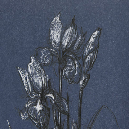 Mercana - Botanical sketches IV Blue by Mercana Studio Hand Embellished Framed Art Print Matted under Glass - 14572 view 7