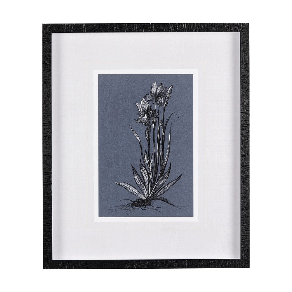 Mercana - Botanical sketches IV Blue by Mercana Studio Hand Embellished Framed Art Print Matted under Glass - 14578 view 1