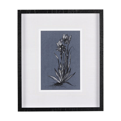 Mercana - Botanical sketches IV Blue by Mercana Studio Hand Embellished Framed Art Print Matted under Glass - 14578 view 1