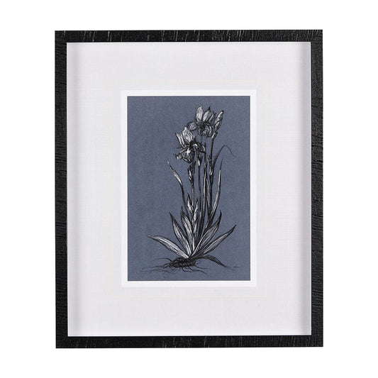 Mercana - Botanical sketches IV Blue by Mercana Studio Hand Embellished Framed Art Print Matted under Glass - 14578 view 1