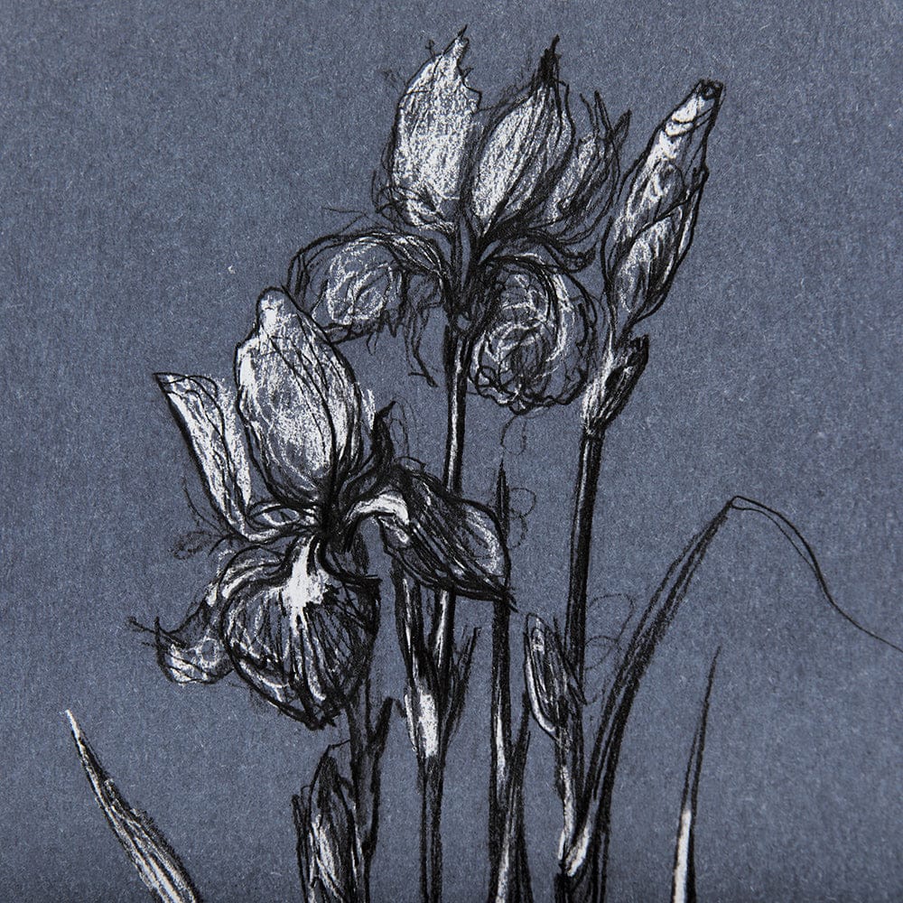Mercana - Botanical sketches IV Blue by Mercana Studio Hand Embellished Framed Art Print Matted under Glass - 14578 view 6