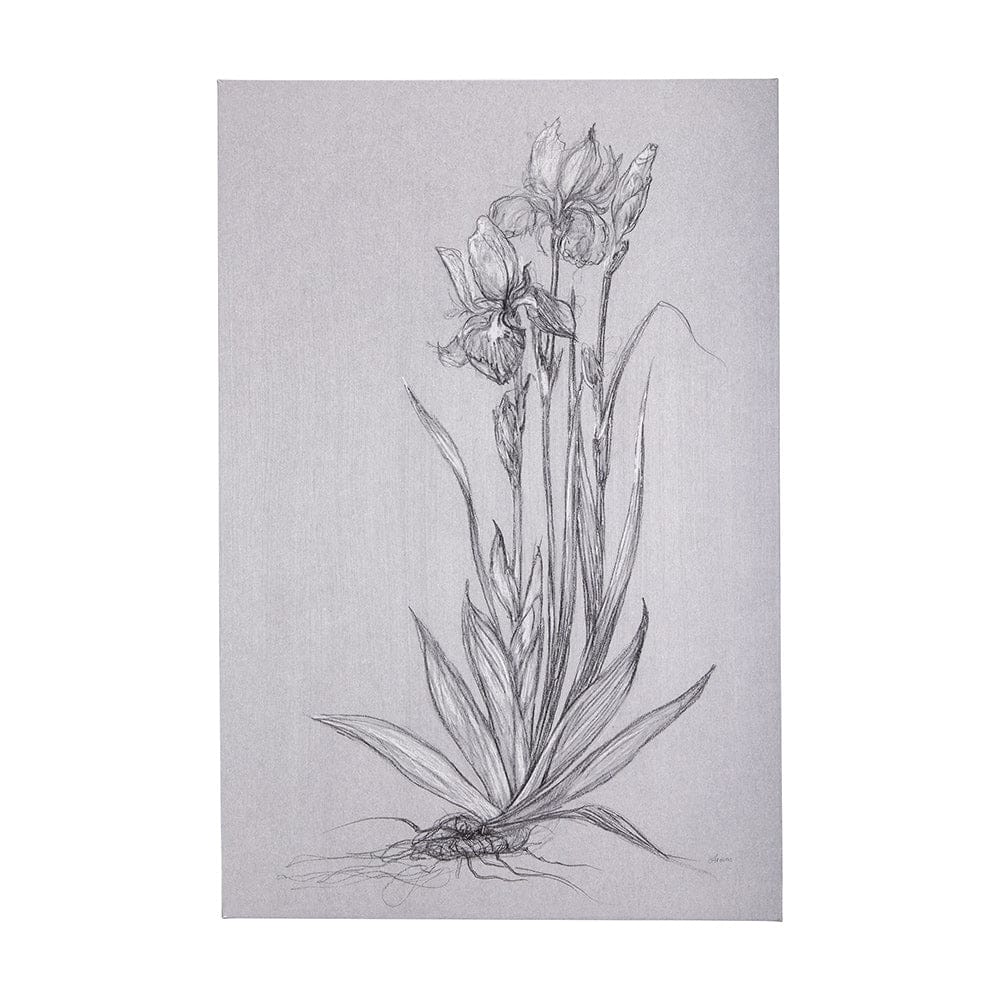 Mercana - Botanical sketches IV Grey by Mercana Studio a Hand Embellished Textured Canvas - 102374-L view 1