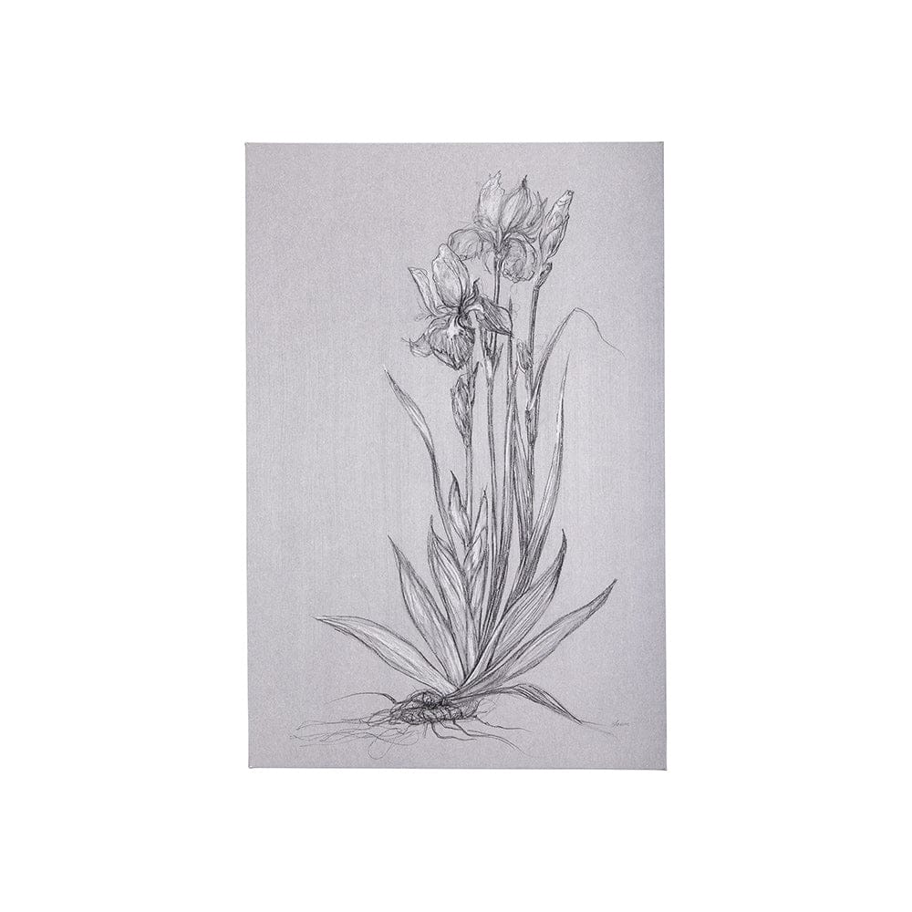 Mercana - Botanical sketches IV Grey by Mercana Studio a Hand Embellished Textured Canvas - 102374-S view 1