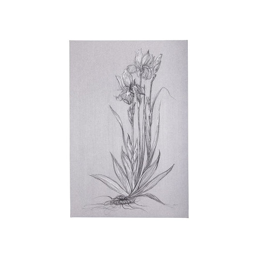 Mercana - Botanical sketches IV Grey by Mercana Studio a Hand Embellished Textured Canvas - 102374-S view 1