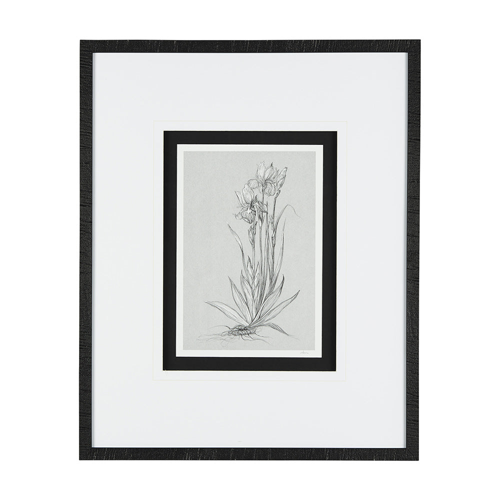 Mercana - Botanical sketches IV Grey by Mercana Studio Hand Embellished Framed Art Print Matted under Glass - 14537 view 1