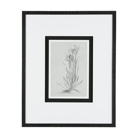 Mercana - Botanical sketches IV Grey by Mercana Studio Hand Embellished Framed Art Print Matted under Glass - 14537 view 1