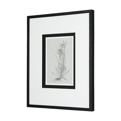 Mercana - Botanical sketches IV Grey by Mercana Studio Hand Embellished Framed Art Print Matted under Glass - 14537 view 2