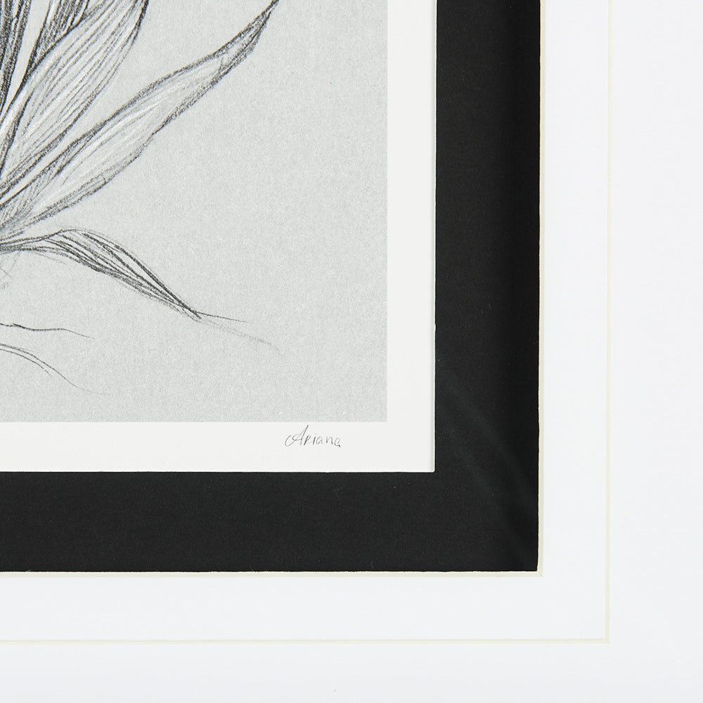 Mercana - Botanical sketches IV Grey by Mercana Studio Hand Embellished Framed Art Print Matted under Glass - 14537 view 6