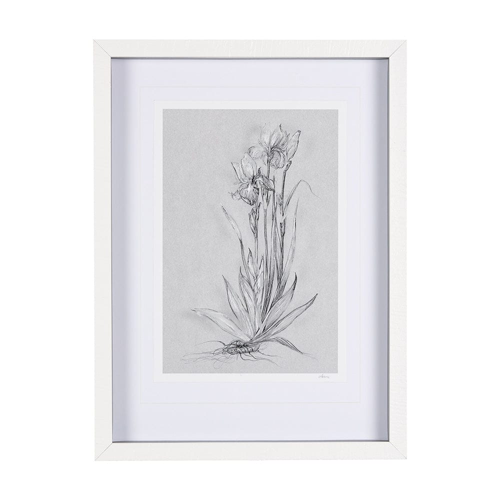 Mercana - Botanical sketches IV Grey by Mercana Studio Hand Embellished Framed Art Print Matted under Glass - 14589 view 1