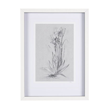 Mercana - Botanical sketches IV Grey by Mercana Studio Hand Embellished Framed Art Print Matted under Glass - 14589 view 1