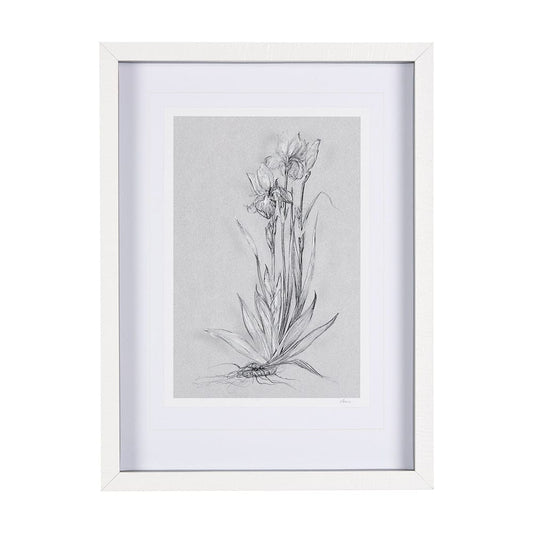 Mercana - Botanical sketches IV Grey by Mercana Studio Hand Embellished Framed Art Print Matted under Glass - 14589 view 1