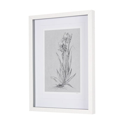 Mercana - Botanical sketches IV Grey by Mercana Studio Hand Embellished Framed Art Print Matted under Glass - 14589 view 2