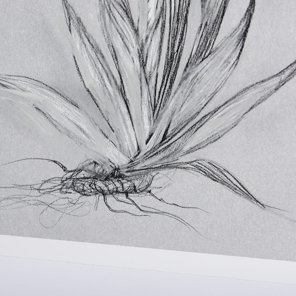 Mercana - Botanical sketches IV Grey by Mercana Studio Hand Embellished Framed Art Print Matted under Glass - 14589 view 6