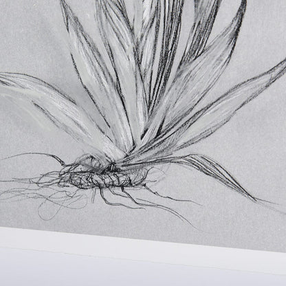 Mercana - Botanical sketches IV Grey by Mercana Studio Hand Embellished Framed Art Print Matted under Glass - 14589 view 6