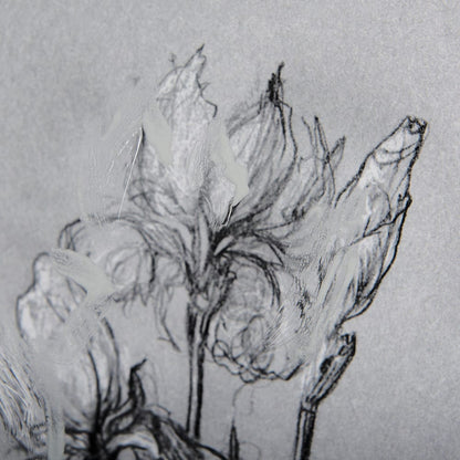 Mercana - Botanical sketches IV Grey by Mercana Studio Hand Embellished Framed Art Print Matted under Glass - 14589 view 7